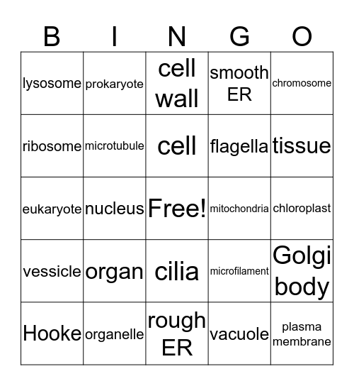 Organelle Bingo Card