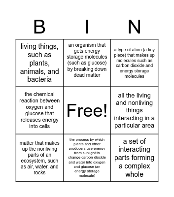 Vocabulary Bingo- Matter and Energy in Ecosystems Bingo Card