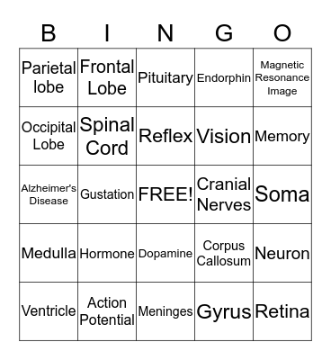 Brain Bingo Card