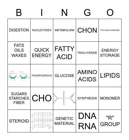 Biomolecules Bingo Card