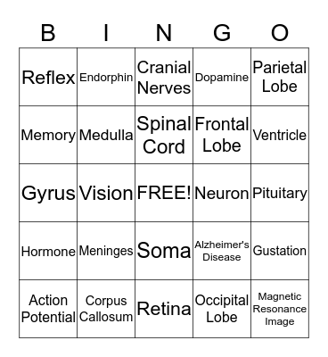 Brain Bingo Card