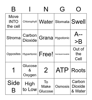 Unit 3 Review Bingo Card