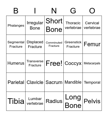 Skeletal System Bingo Card