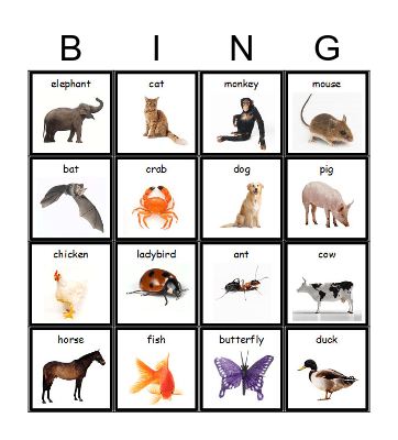 Animals Bingo Card