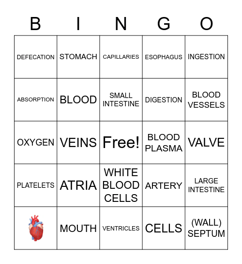 The Circulatory System and Review Bingo Card