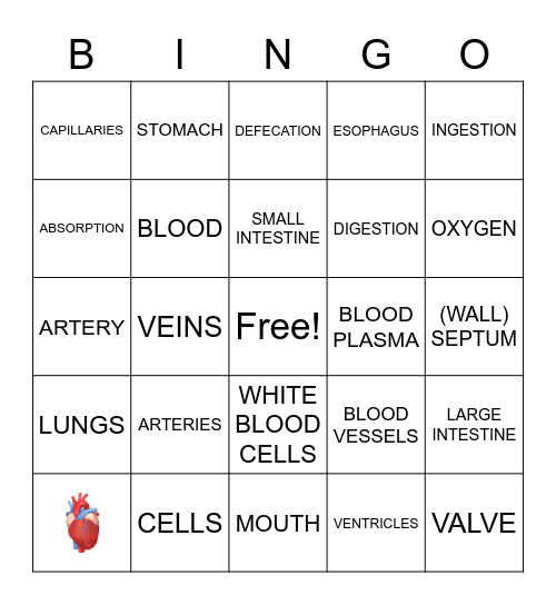The Circulatory System and Review Bingo Card