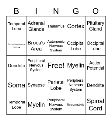 Neuro Bingo Card