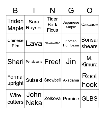 BONSAI BINGO Card