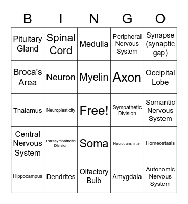 Neuro Bingo Card