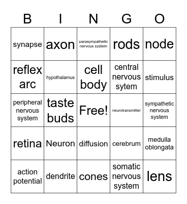 Chapter 33 Bingo Card