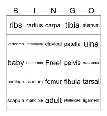 Skeletal System Bingo Card