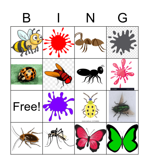 Yo veo insecto+color Bingo Card