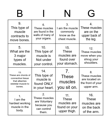 What Am I ? Muscles Bingo Card