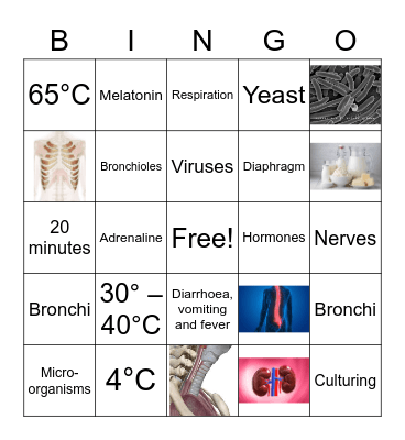 Biology Revision Bingo Card