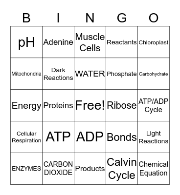 CELL ENERGY PART 1 Bingo Card