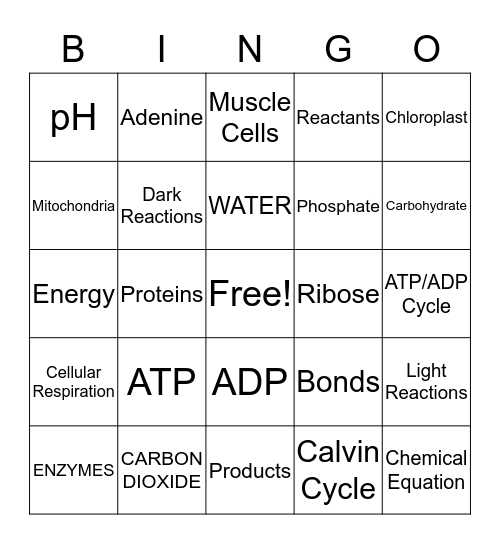 CELL ENERGY PART 1 Bingo Card