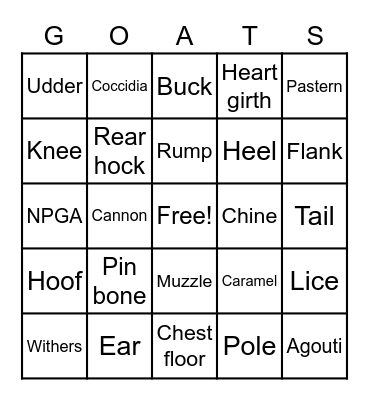 4-H pygmy Bingo Card