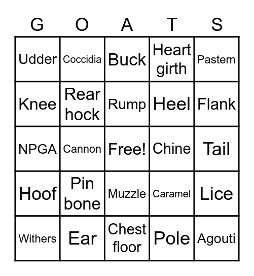 4-H pygmy Bingo Card