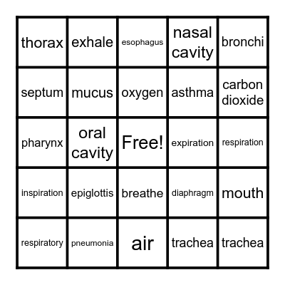 Respiratory System Bingo Card