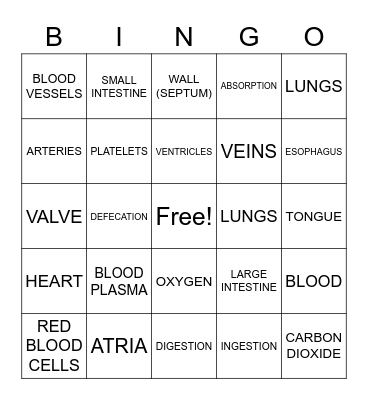 The Circulatory System and Review ! Bingo Card