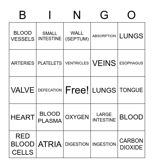 The Circulatory System and Review ! Bingo Card