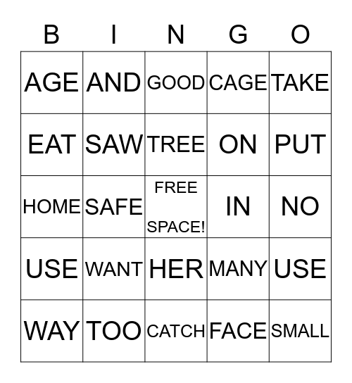 PHONICS WORD BINGO Card