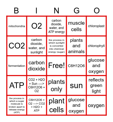 Photosynthesis & Cell Resp Bingo Card