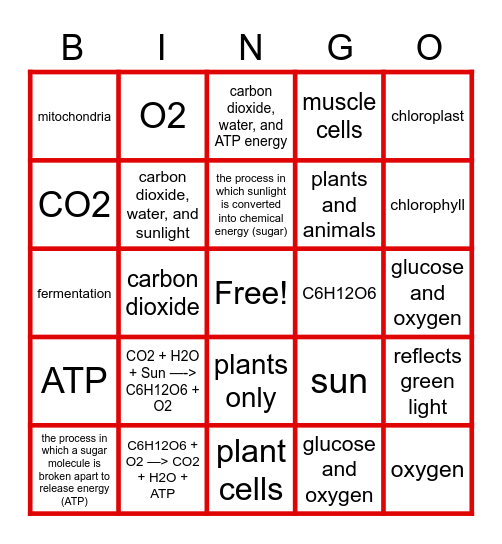 Photosynthesis & Cell Resp Bingo Card