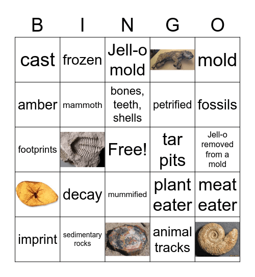 Fossils Bingo Card