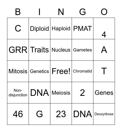 Turkey Bingo Card