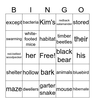 One Small Place in a Tree-Vocab Bingo Card
