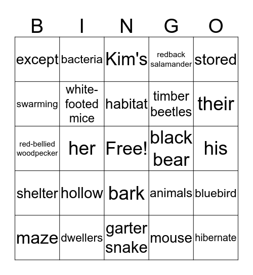 One Small Place in a Tree-Vocab Bingo Card