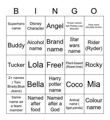 Pet names Bingo Card