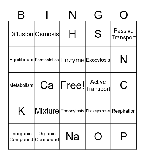 Cell Processes Bingo Card