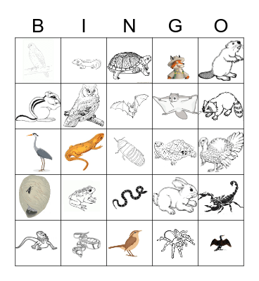 Watkins Nature Center Bingo Card