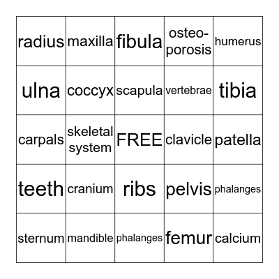 Skeletal System Bingo Card