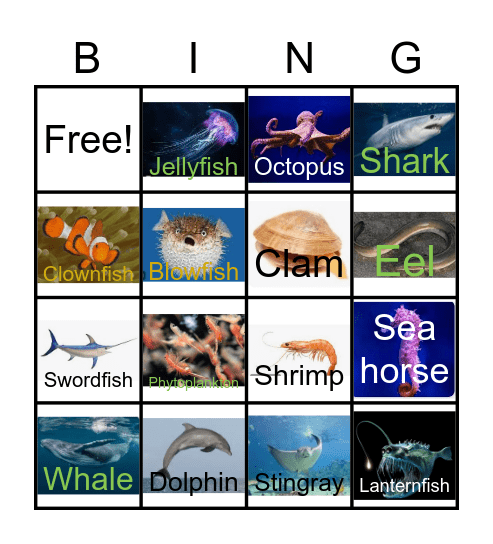 Marine animals Bingo Card