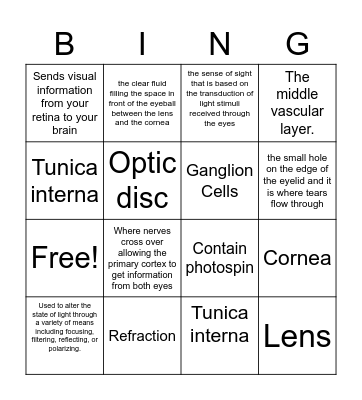 Light and Vision Bingo Card