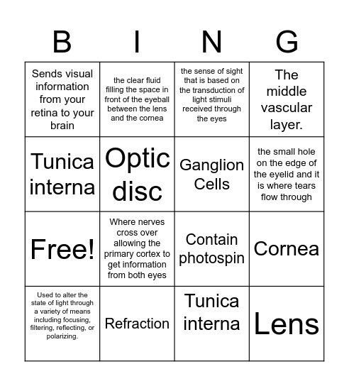 Light and Vision Bingo Card