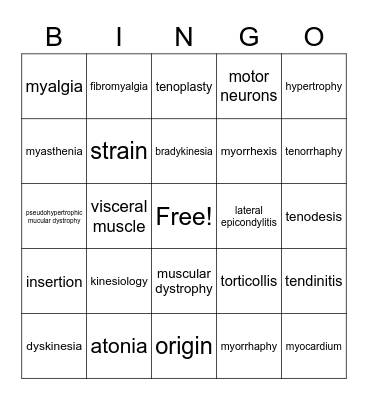 Muscular System Bingo Card