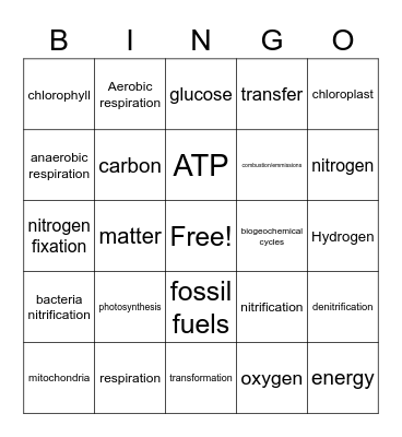 Matter and Energy Bingo Card