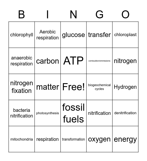 Matter and Energy Bingo Card