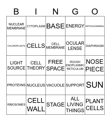 CELLS AND MICROSCOPE REVIEW Bingo Card