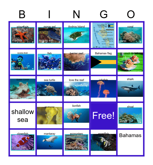 Andros Barrier Reef Bingo Card