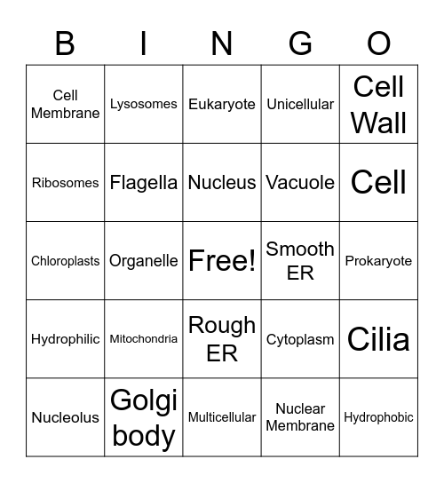 Organelles Bingo Card