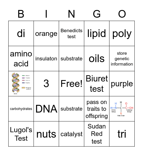 Nutrient Bingo Card