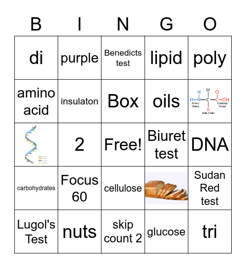 Lamont's Nutrient Bingo Card