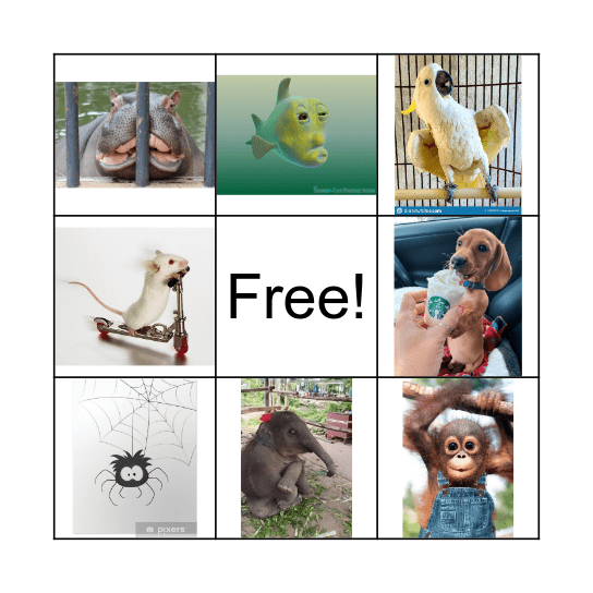 Animals Bingo Card