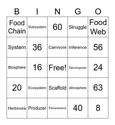 Miss Souza's Class Bingo Card