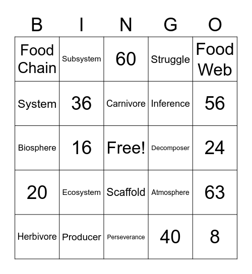 Miss Souza's Class Bingo Card